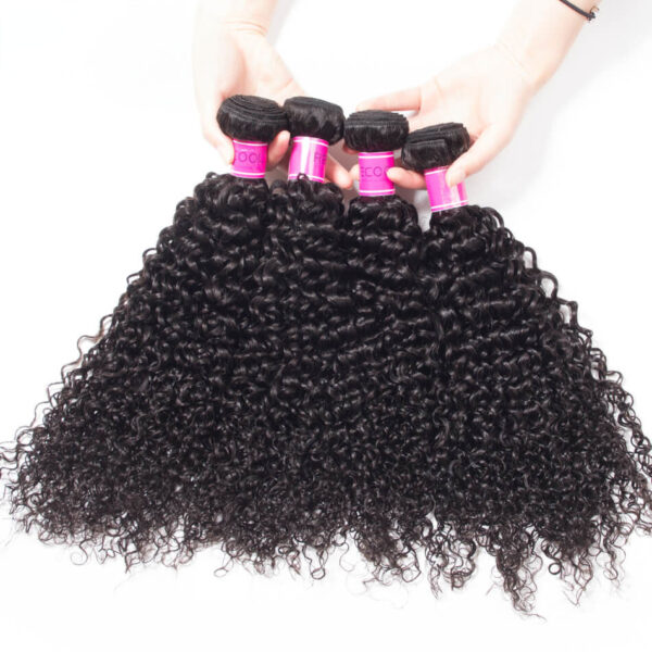 TRILL Brazilian Curly Virgin Hair With Closure 100% Human Hair Bundles With Closure Jerry Curly