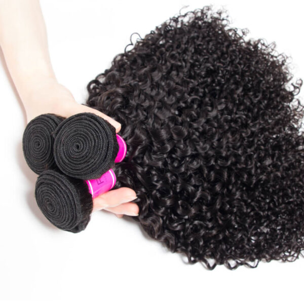 TRILL Brazilian Curly Virgin Hair With Closure 100% Human Hair Bundles With Closure Jerry Curly