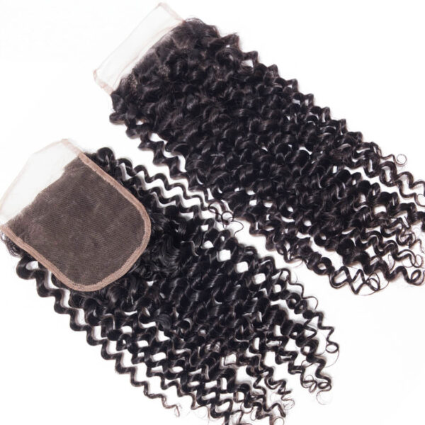 TRILL Brazilian Curly Virgin Hair With Closure 100% Human Hair Bundles With Closure Jerry Curly