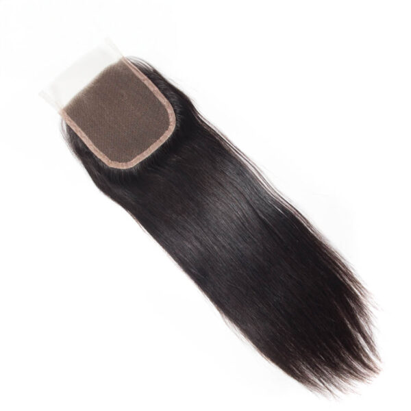 TRILL 10A Indian Straight Hair Bundles With Closure Free Part Mink Straight 3 Bundles With Lace Closure