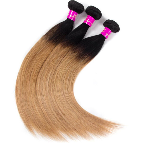 Peruvian Ombre Hair 1B/27 Ombre Blonde Straight Human Hair 1