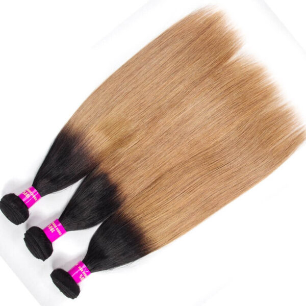 Peruvian Ombre Hair 1B/27 Ombre Blonde Straight Human Hair 3