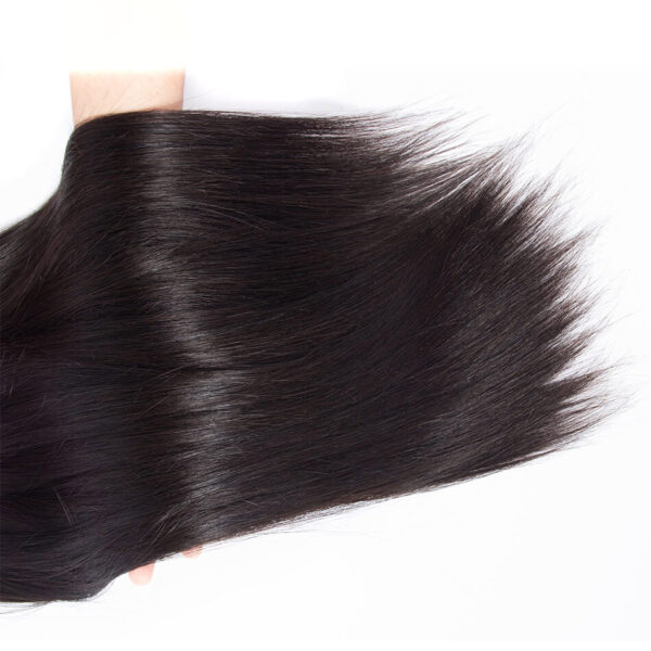 Straight human hair 1