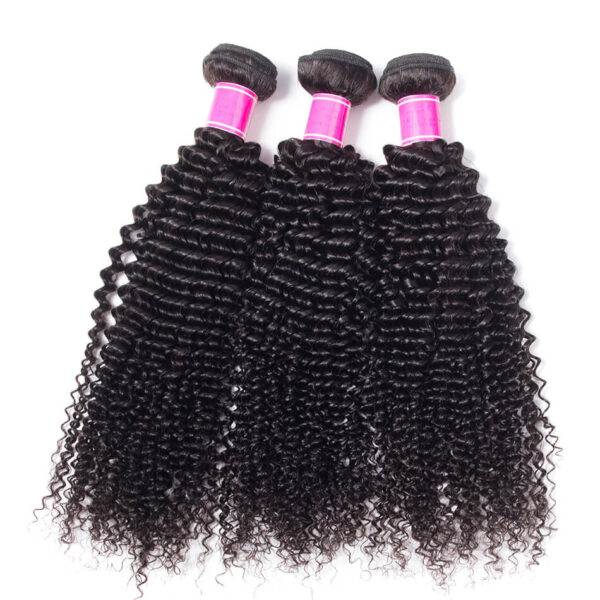 Kinky Curly Peruvian Hair 3 Bundles Deal Afro Kinky Curly 1