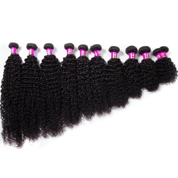 Curly Wave Hair Bundles
